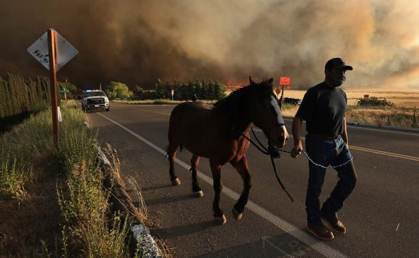 man escapes fire with horse