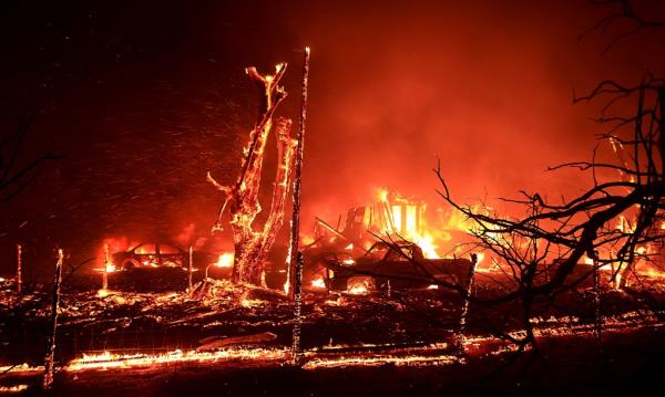 wild fire