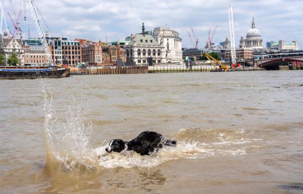 伦敦天气：30摄氏度的热浪开始，为期四天的健康警报启动