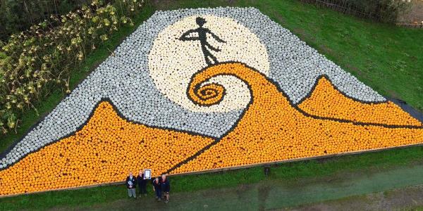 幽灵般的蒂姆伯顿启发的南瓜和南瓜马赛克创造了世界纪录