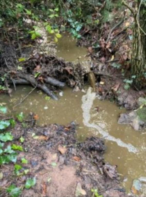 萨默塞特的农民一再允许泥浆污染附近的溪流