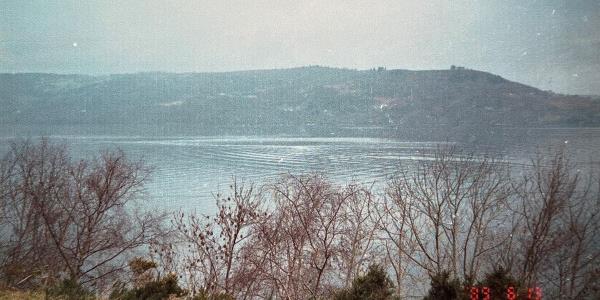 尼斯湖水怪发现者讨论著名的照片作为第一张图像90周年纪念