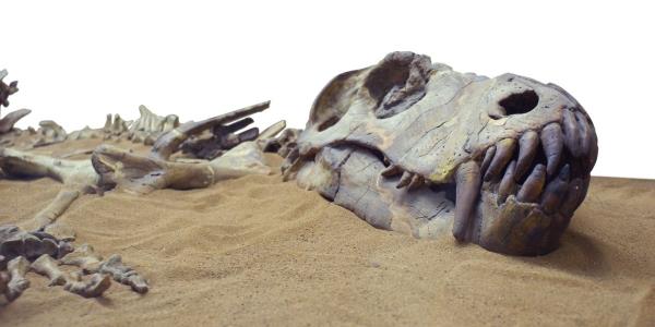 新的研究表明，灭绝恐龙的不仅仅是一颗陨石