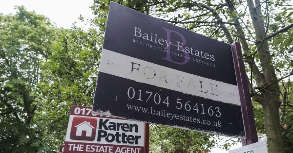 园丁用价值3.97英镑的阿斯达瓶子告诫不要让猫进入你的花园