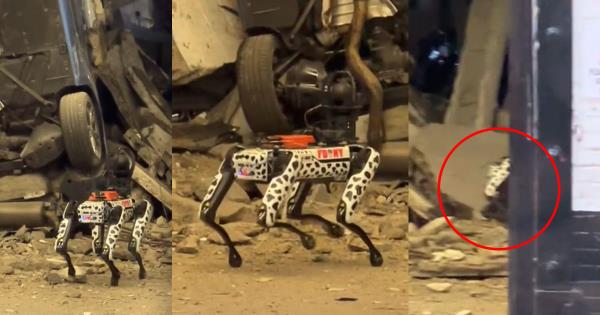 价值7.5万美元的纽约机器狗上班，几乎立刻摔倒了
