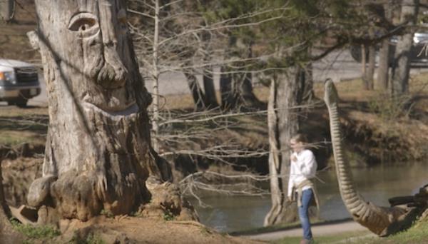 Tinglewood in Orr Park