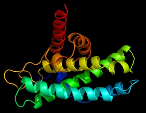 科学家发现了影响大脑中继发性乳腺肿瘤生长的新蛋白质