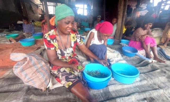 Women remove wings from the insects before frying them to make protein-rich snacks.