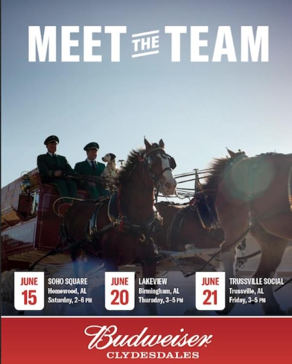 Clydesdales visit Birmingham