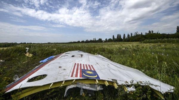 A piece of the wreckage of the Malaysia Airlines flight MH17 is pictured in a field near the village of Grabove, in the region of Do<em></em>netsk on July 20, 2014.