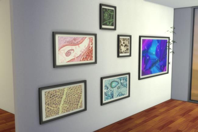 Sims 4 Microscope Prints On Wall