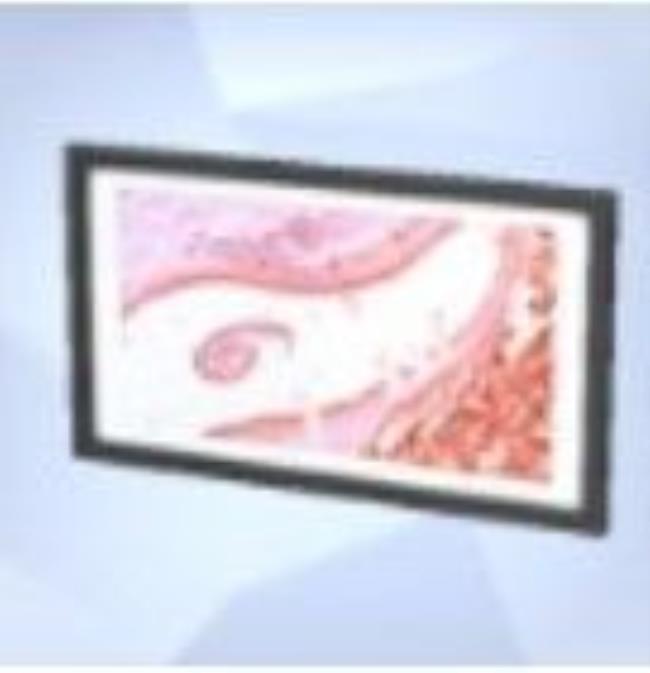 A screenshot of the Sims 4 shows the microscope print titled Party In Pink