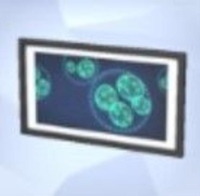 A screenshot of the Sims 4 shows the microscope print titled Hooplankton