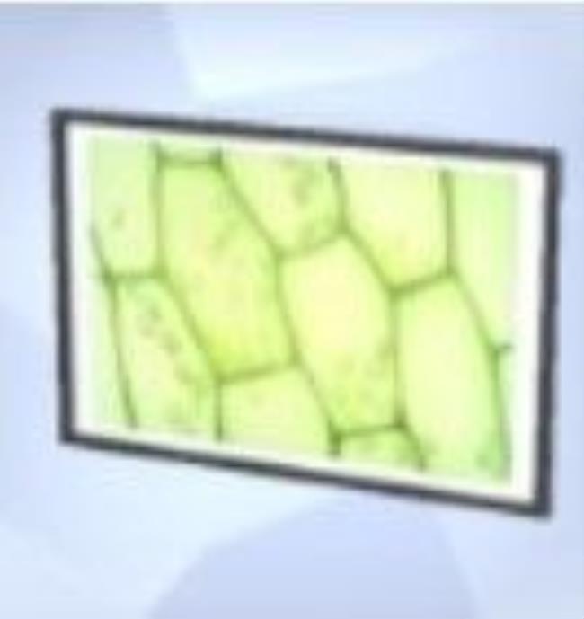 A screenshot of the Sims 4 shows the microscope print titled Blemish Blossom