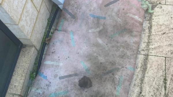 A WA inspector found Bei Bei was lying on a mouldy dog bed after being neglected by its owners. RSPCA Western Australia