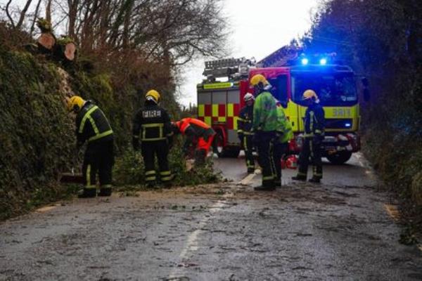 Members of Kerry County Fire Services felling a tree at Kells - just after Gleesk Viaduct, Co Kerry on Sunday.