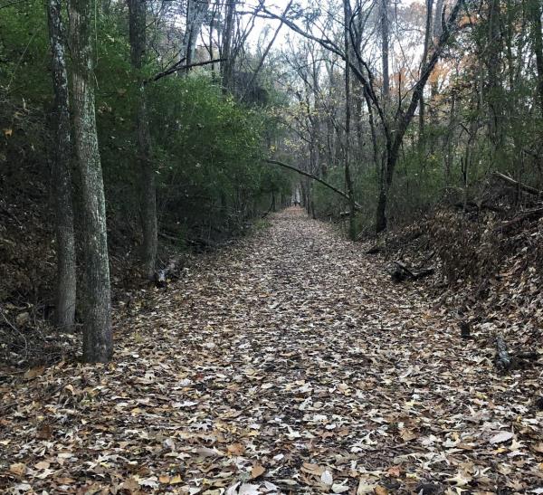 伯明翰地区的立法者是如何花“猪肉钱”的;查看前10名获奖者